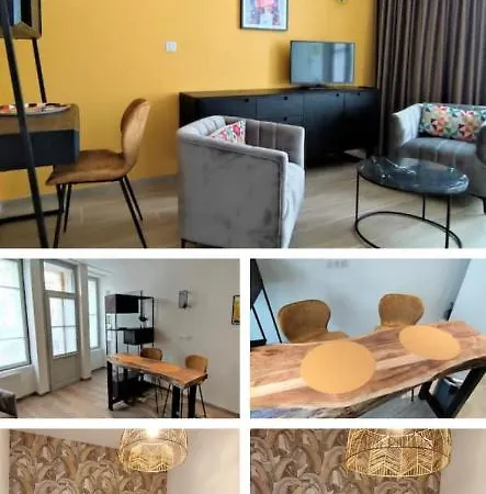 Appartement T2 ✓ Centre-ville ✓Entièrement rénové Appartement